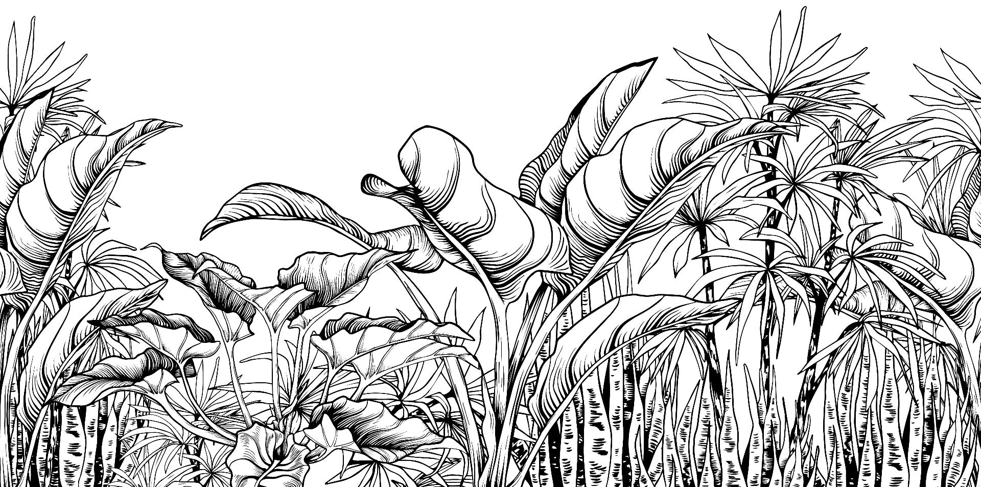 Black & White Big Tropical Leaves Wallpaper Mural