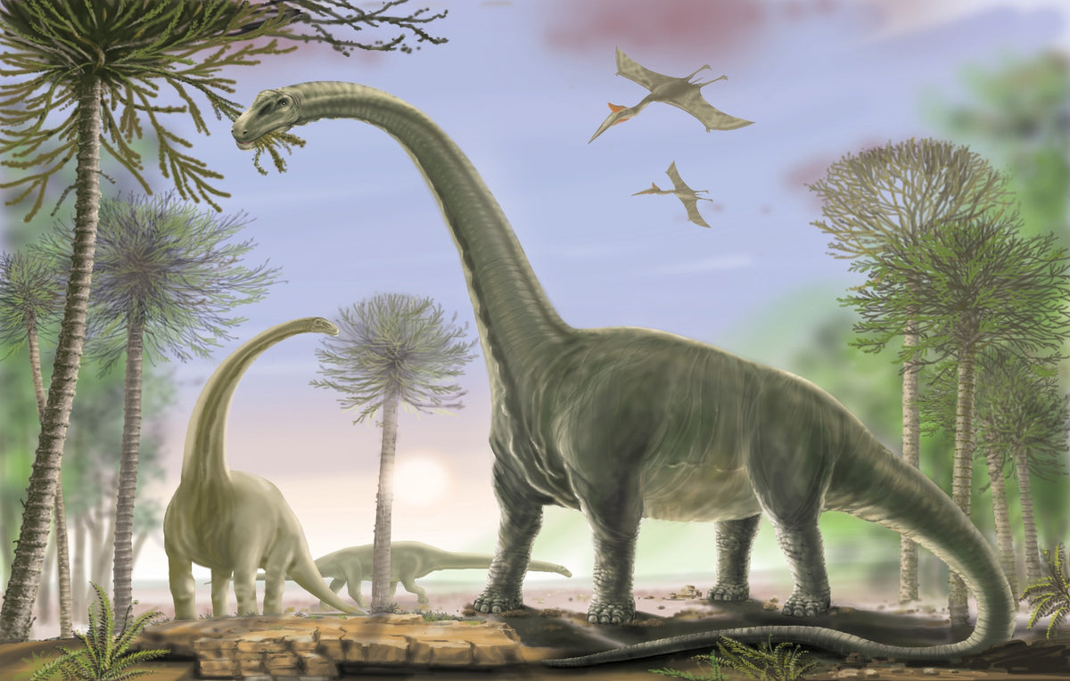 Animated Dinosaur Wallpaper Mural in your room — zoomed