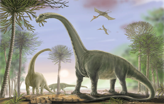 Animated Dinosaur Wallpaper Mural