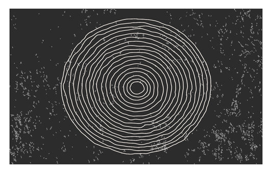 Black & White Concentric Circles Wallpaper Mural