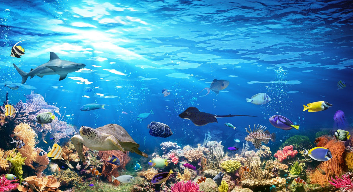 Deep Blue Sea Water with Corel Reef wallpaper Mural in your room
