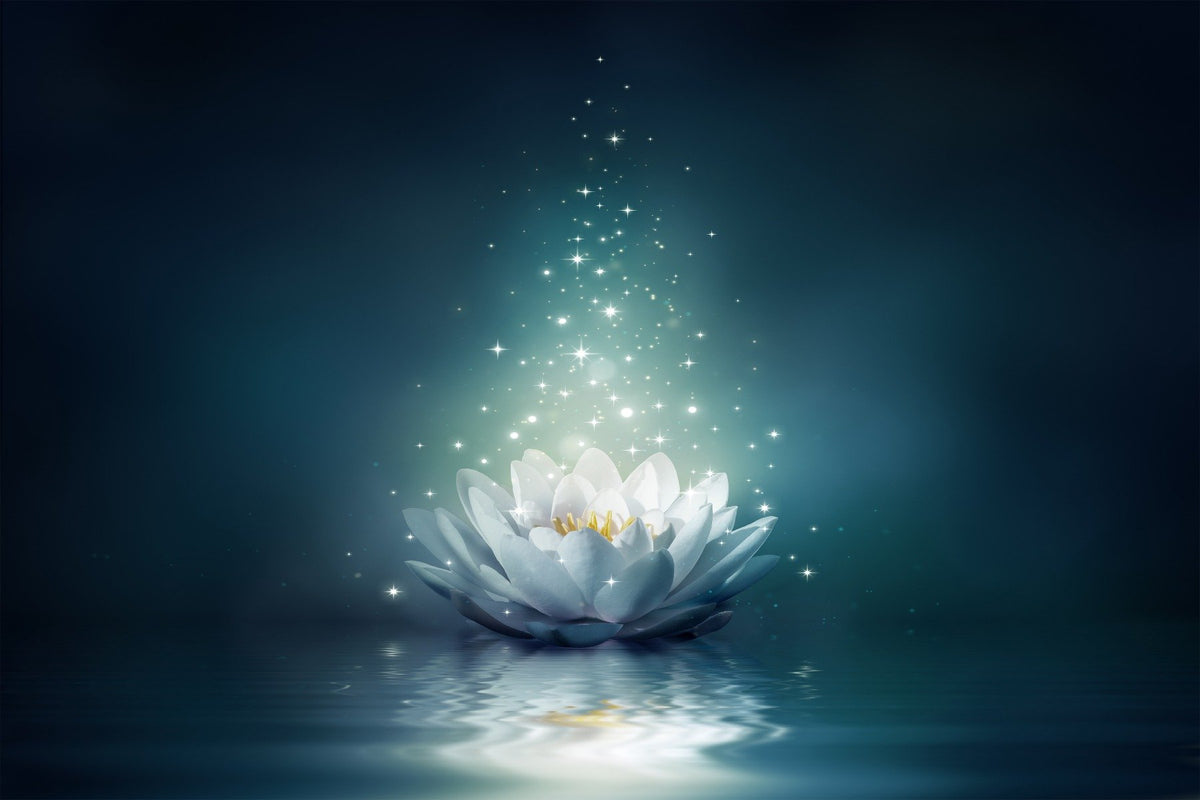 White Lily Wallpaper Mural