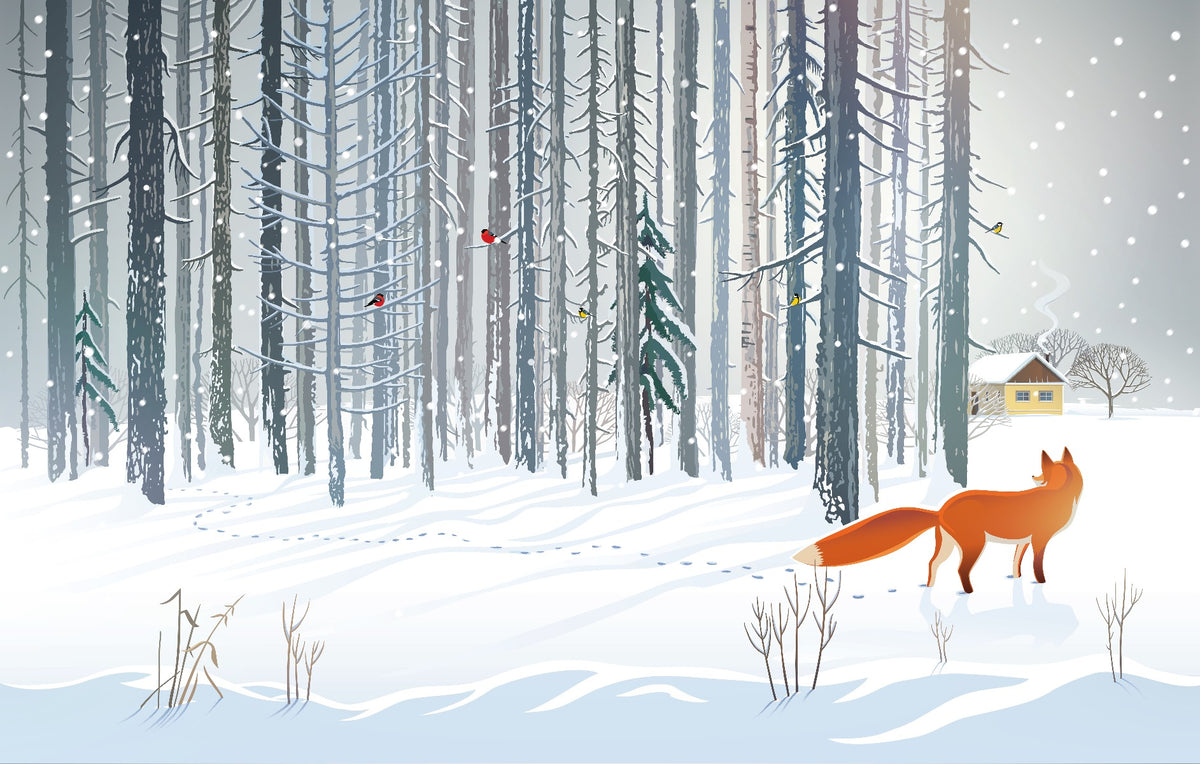 Winter Forest Fox Wallpaper Mural in your room — zoomed