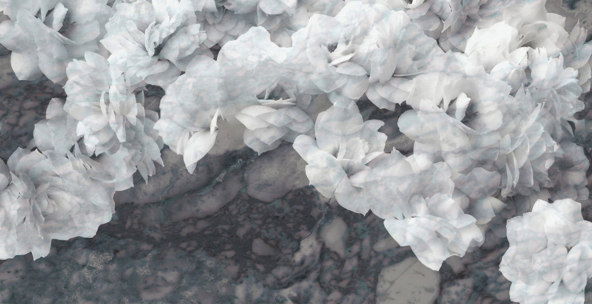 White Orchids Wallpaper Murals in your room — zoomed