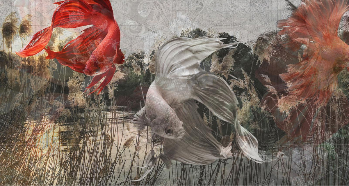 Underwater Fishes Wallpaper Murals in your room