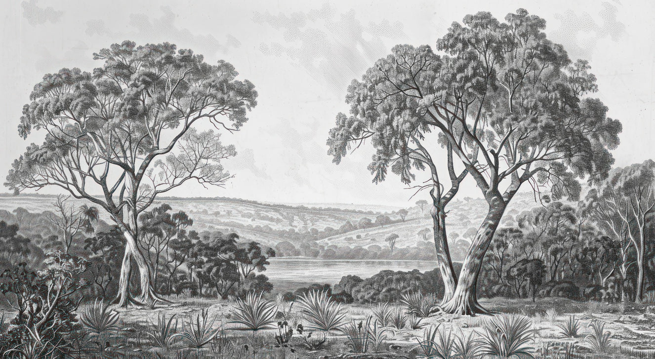Black & White Fog Covering Trees Forest Wallpaper Mural
