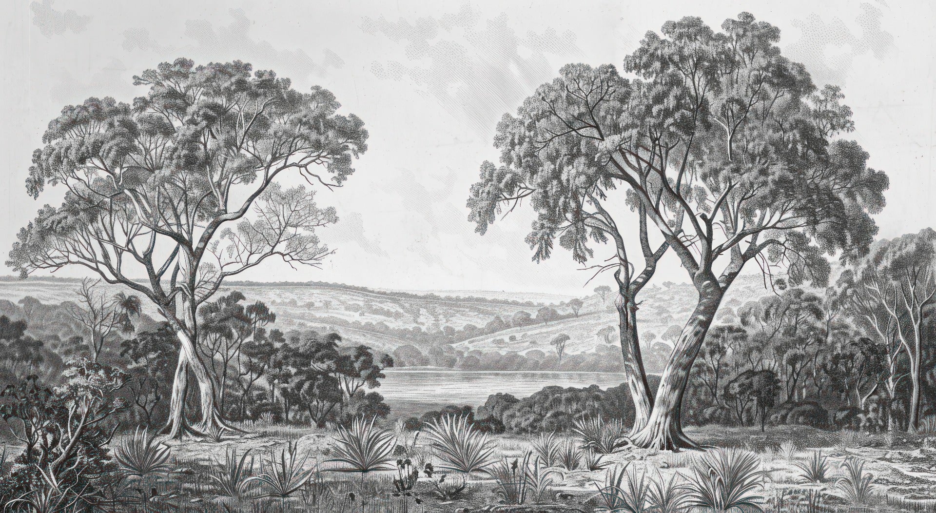 Black & White Fog Covering Trees Forest Wallpaper Mural