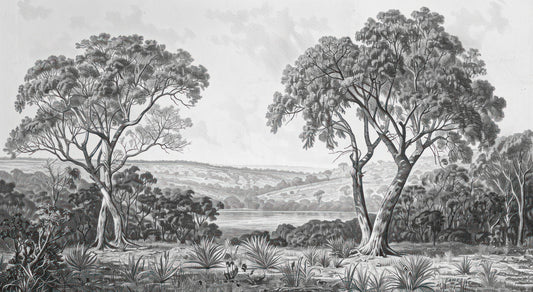 Black & White Fog Covering Trees Forest Wallpaper Mural