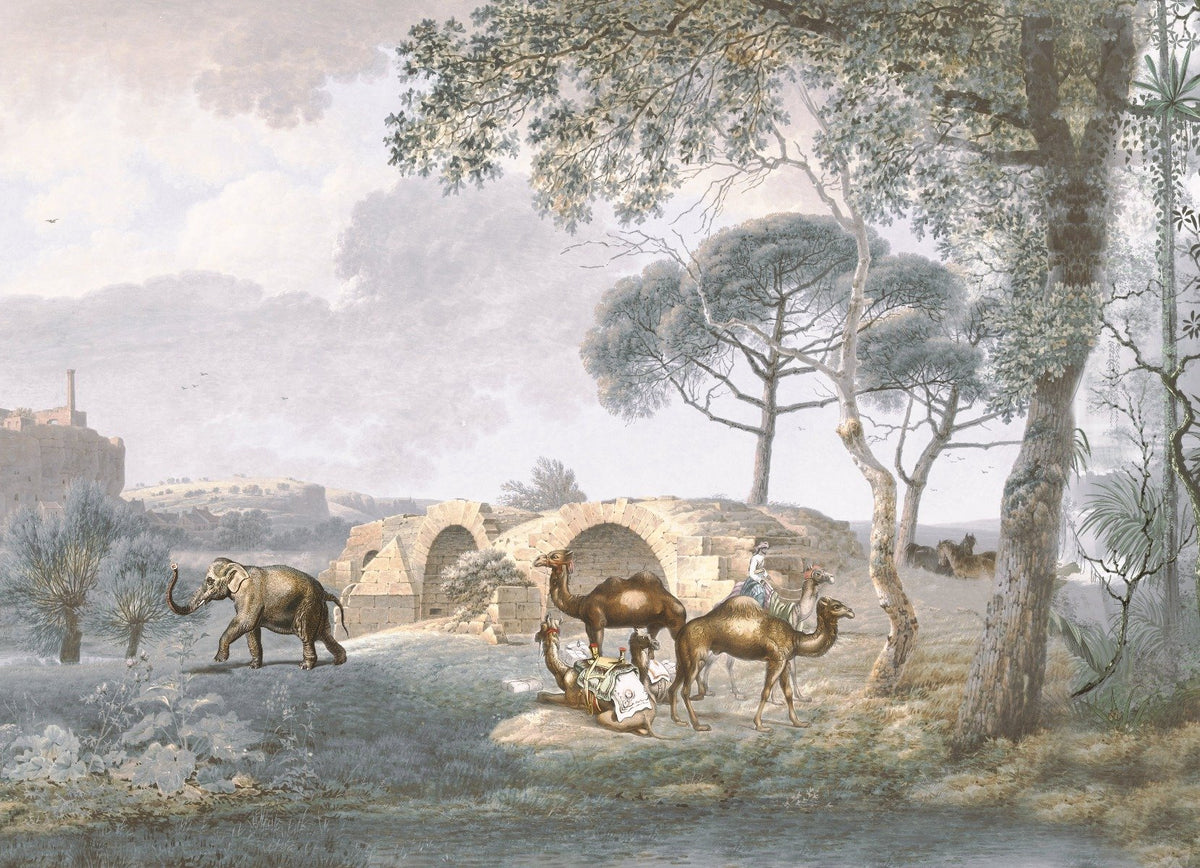 Garden view with Birds and Camels Wallpaper in your room — zoomed
