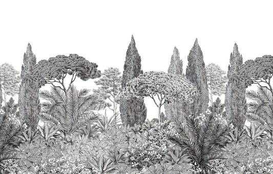 Gray Deodar Trees Wallpaper Murals