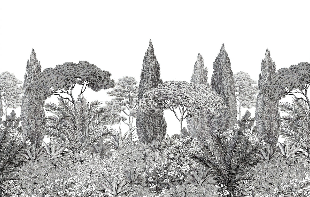 Gray Deodar Trees Wallpaper Murals
