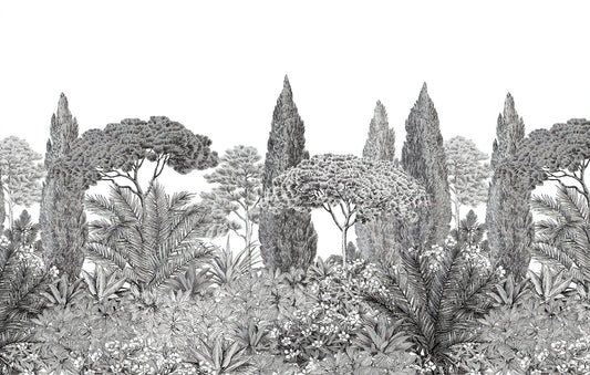 Gray Deodar Trees Wallpaper Murals