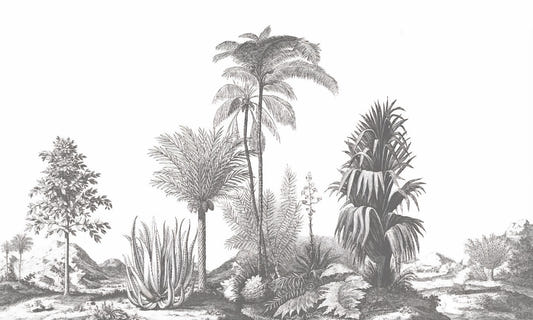 Gray Tone Tropical Serene Wallpaper Murals