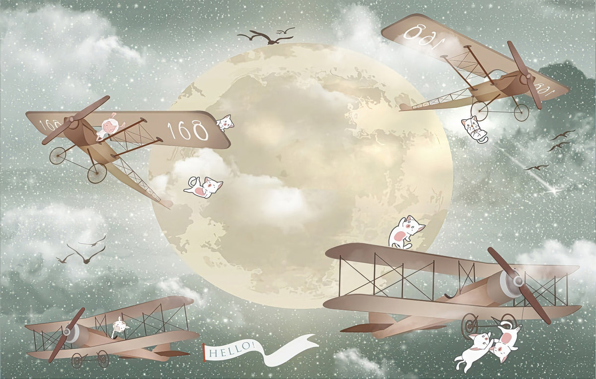 Moonlight Airplanes Wallpaper Murals in your room — zoomed