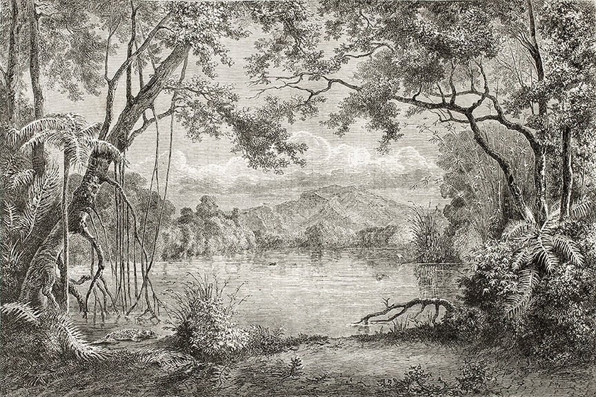 Sketchy Hills Wallpaper Murals in your room
