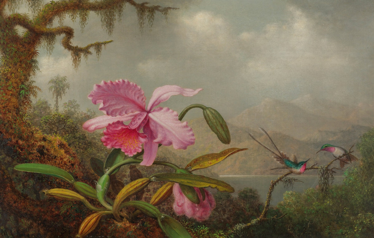 Pink Flower Wallpaper Mural in your room