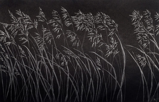 Dark Artistic Reeds Wallpaper Murals