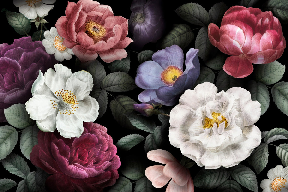 Flower Dark Background Wallpaper Murals in your room — zoomed