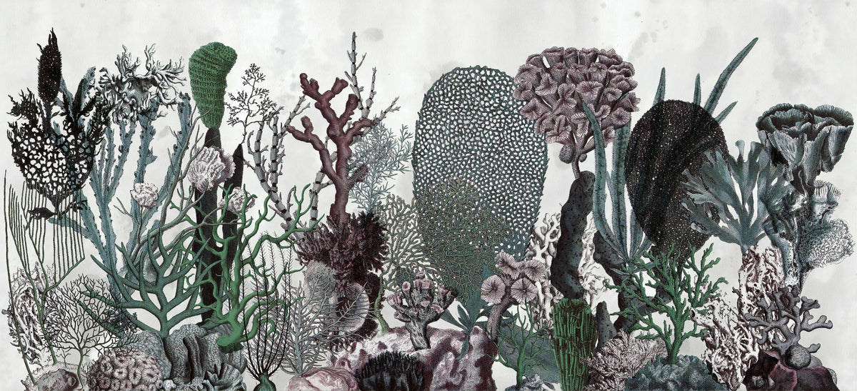 Flowers & Plant Wallpaper Murals