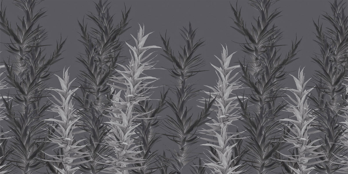 Grey Dracaena Wallpaper Murals