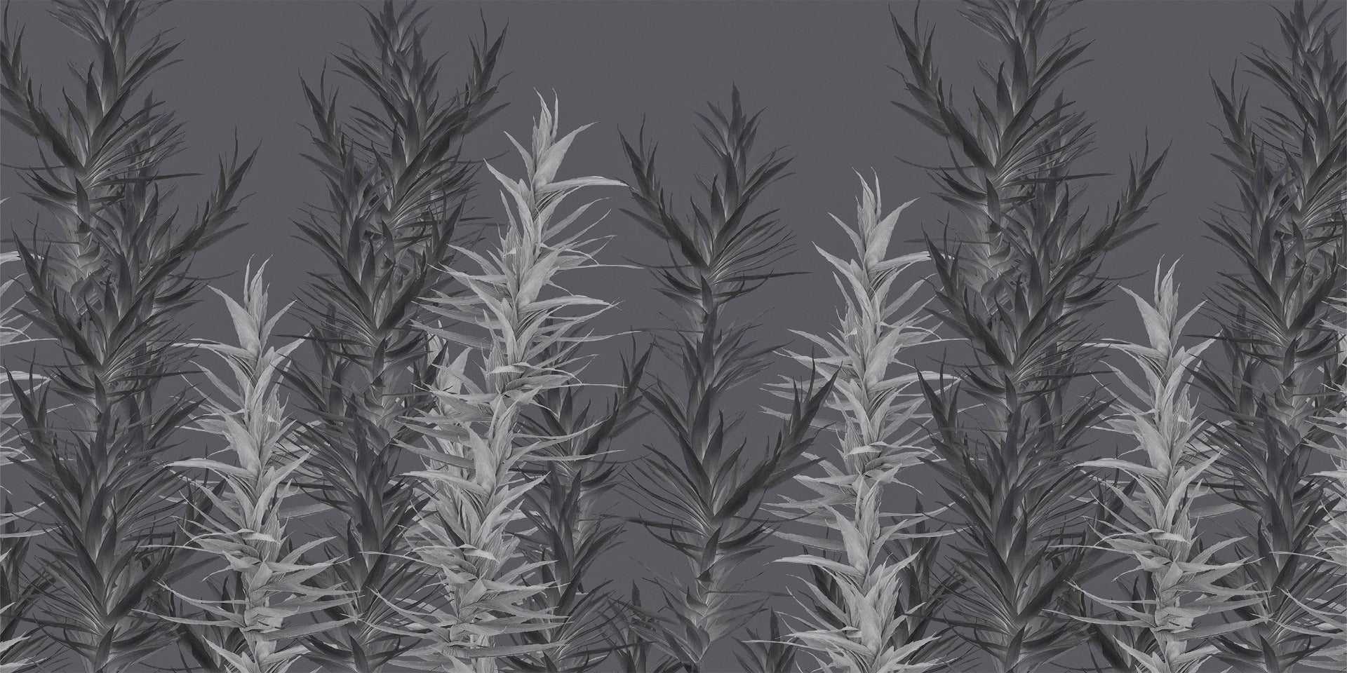Grey Dracaena Wallpaper Murals in your room — zoomed