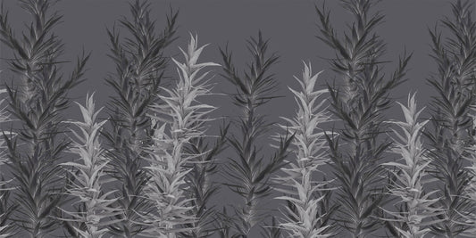 Grey Dracaena Wallpaper Murals