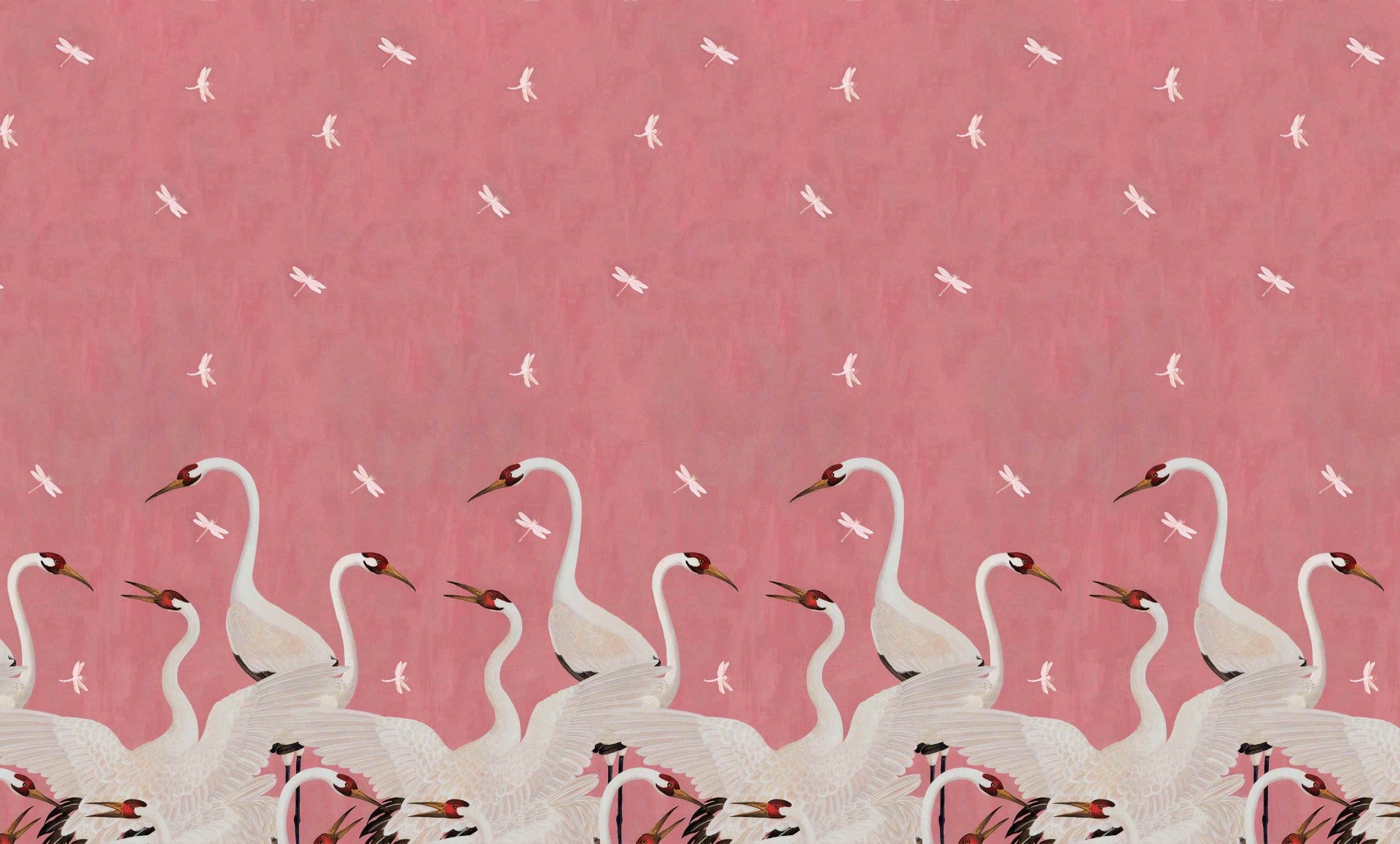 Majestic Pink Cranes Wallpaper Murals