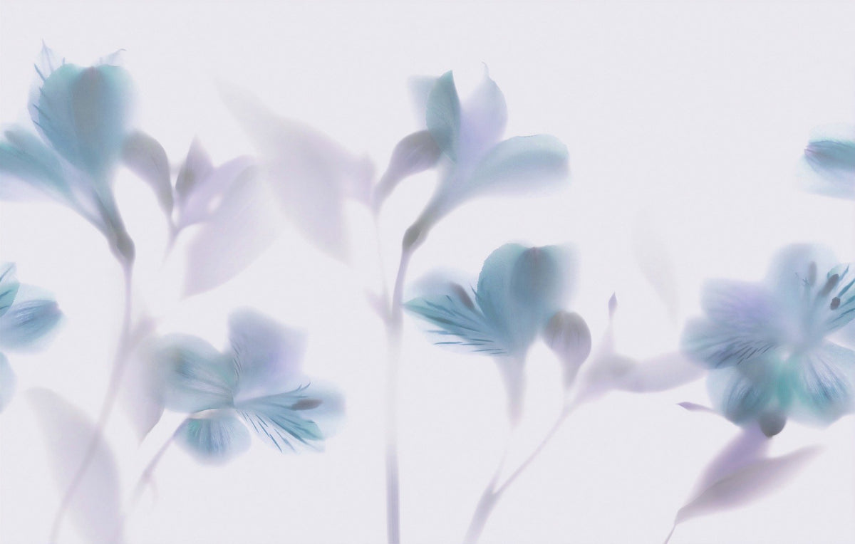 Blue Orchids Foggy Wallpaper Murals in your room
