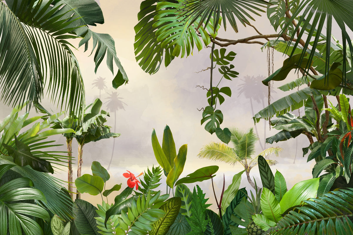 Green Tropical Forest Trees Wallpaper Murals in your room