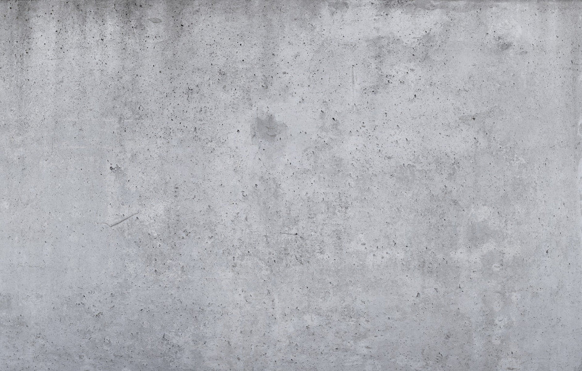 Industrial Gray Color Concrete Wallpaper Mural in your room