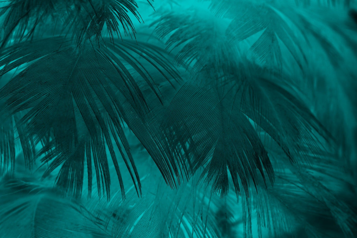 Turquoise Color Palm Tree Leaves Wallpaper Murals in your room — zoomed