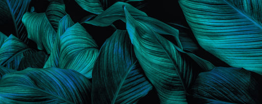 Metallic Tropical Foliage Wallpaper Murals