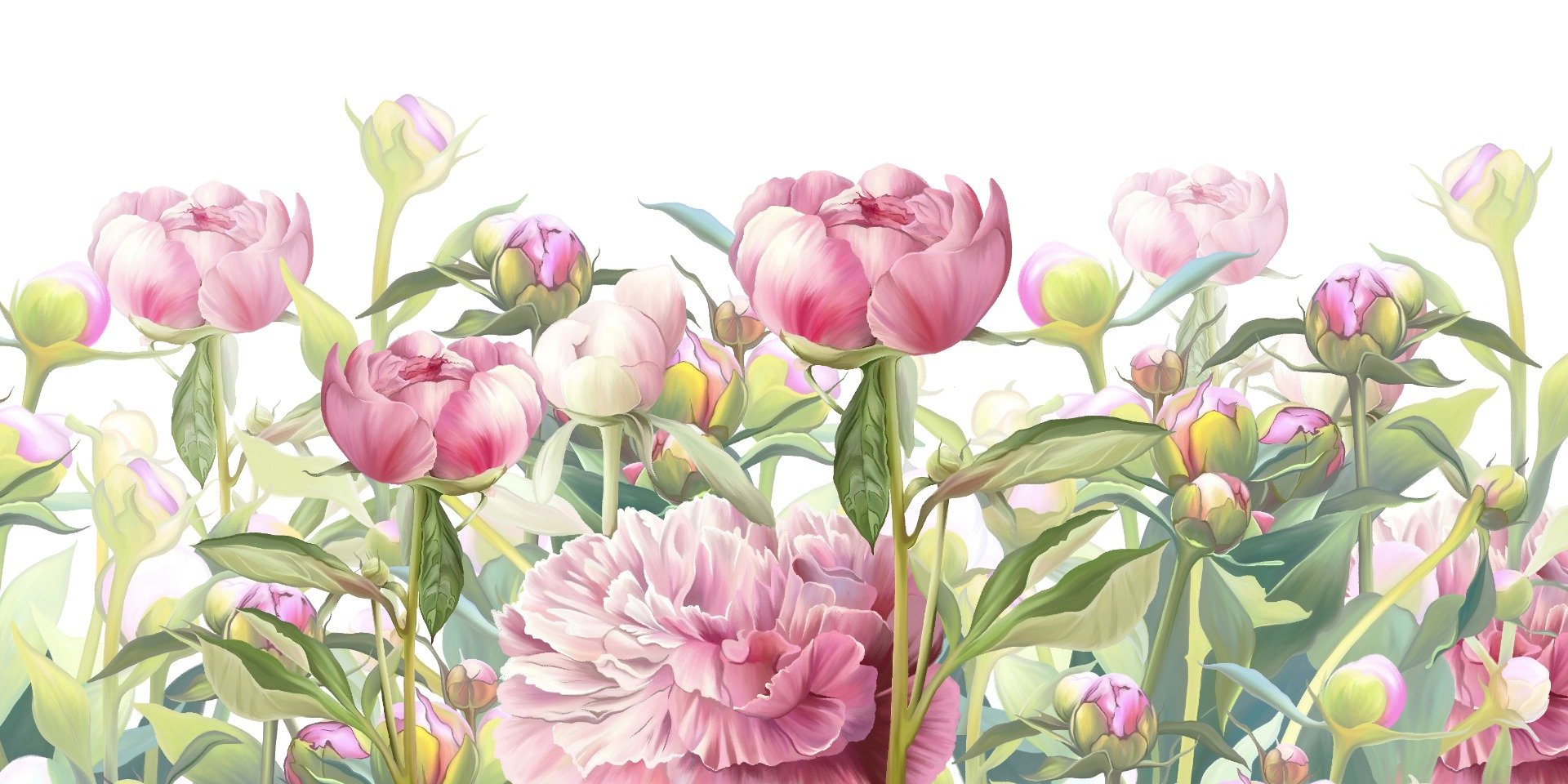 Delicate Peonies Wallpaper Murals in your room — zoomed