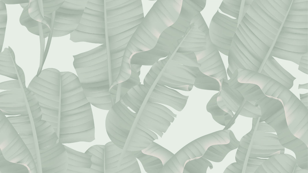 Green Banana Leaves Wallpaper Mural in your room