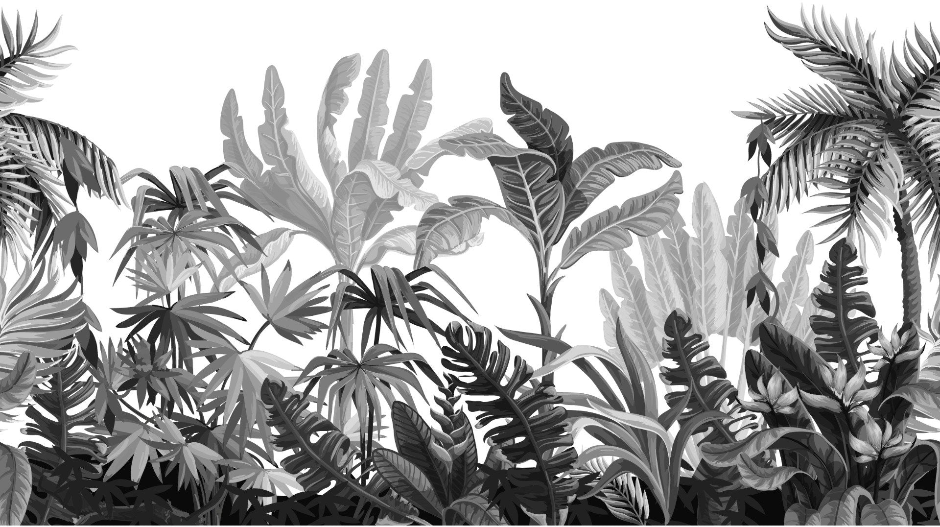 Black & White Tropical Banana Leaves Wallpaper Mural in your room — zoomed