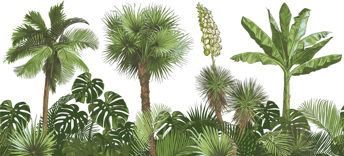 Green Forest Palm tree Wallpaper Murals in your room