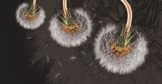 Hanging Dandelion Flower Wallpaper Mural