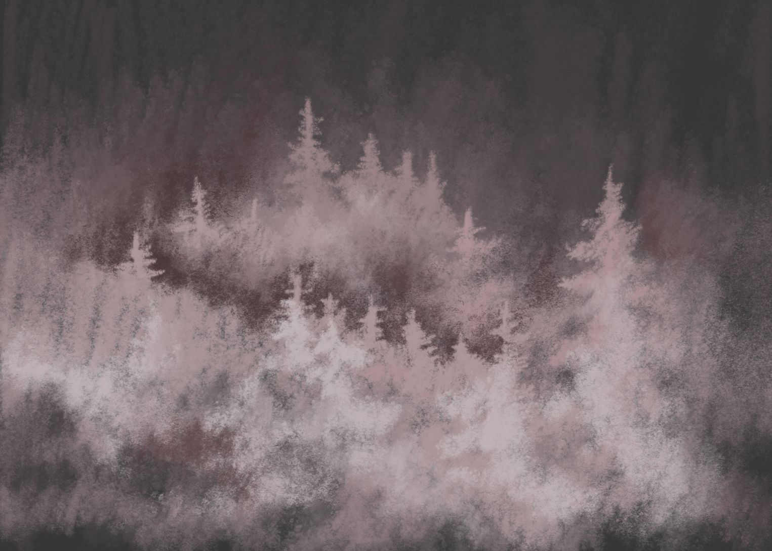 Misty spruce forest Wallpaper in your room — zoomed