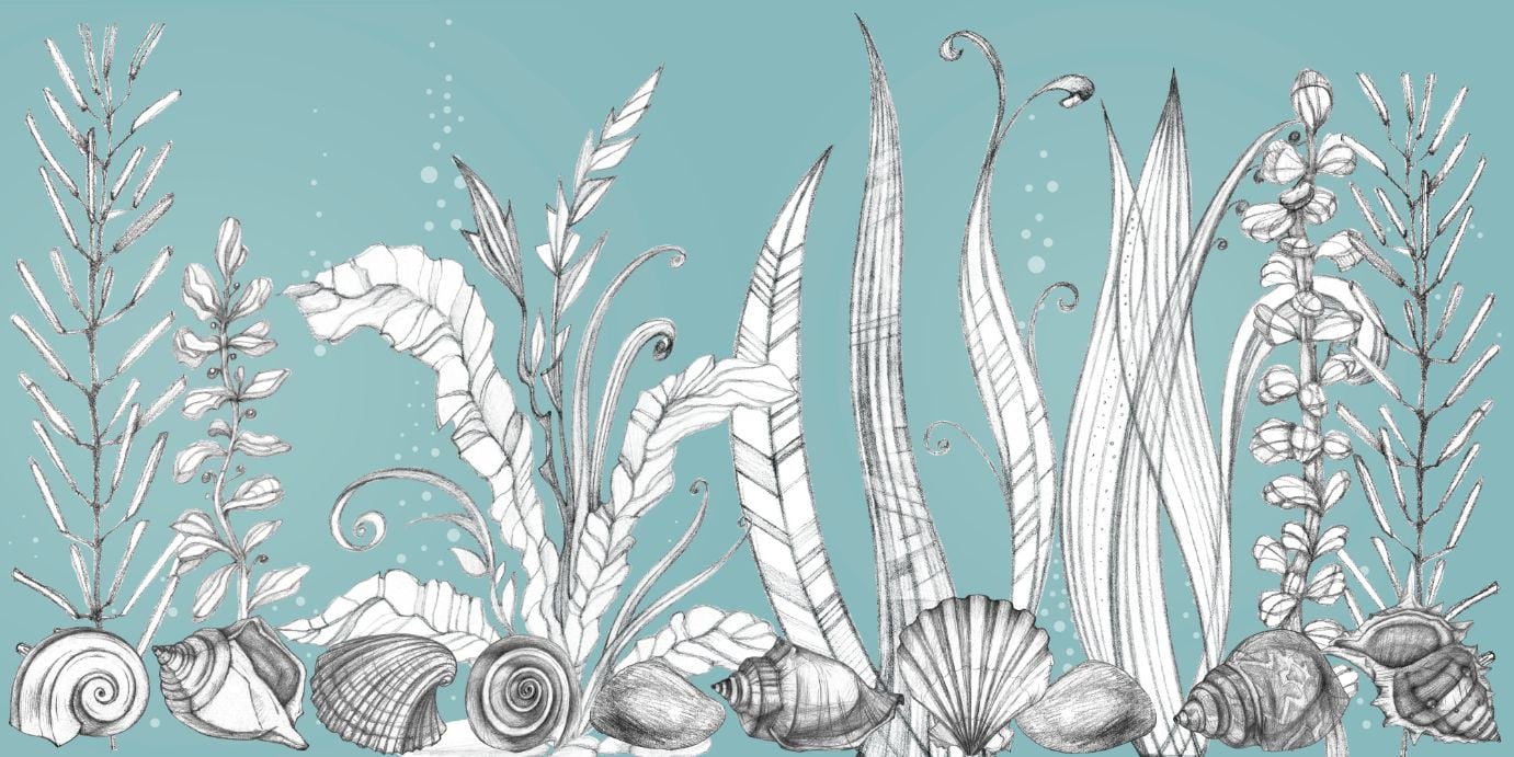 Hand drawn floral wallpaper murals