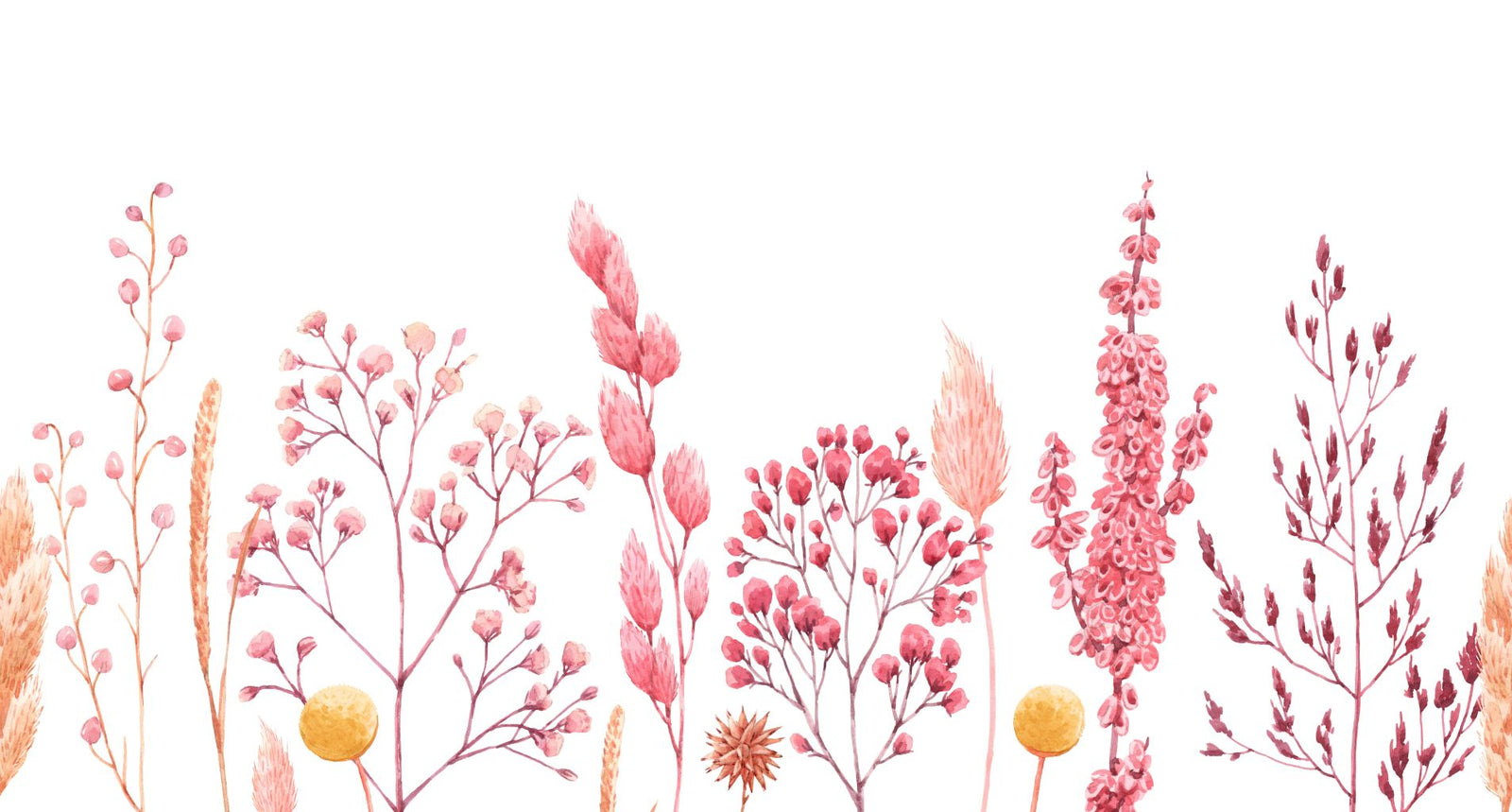 Watercolor Ears of Dried Flowers Wallpaper Murals