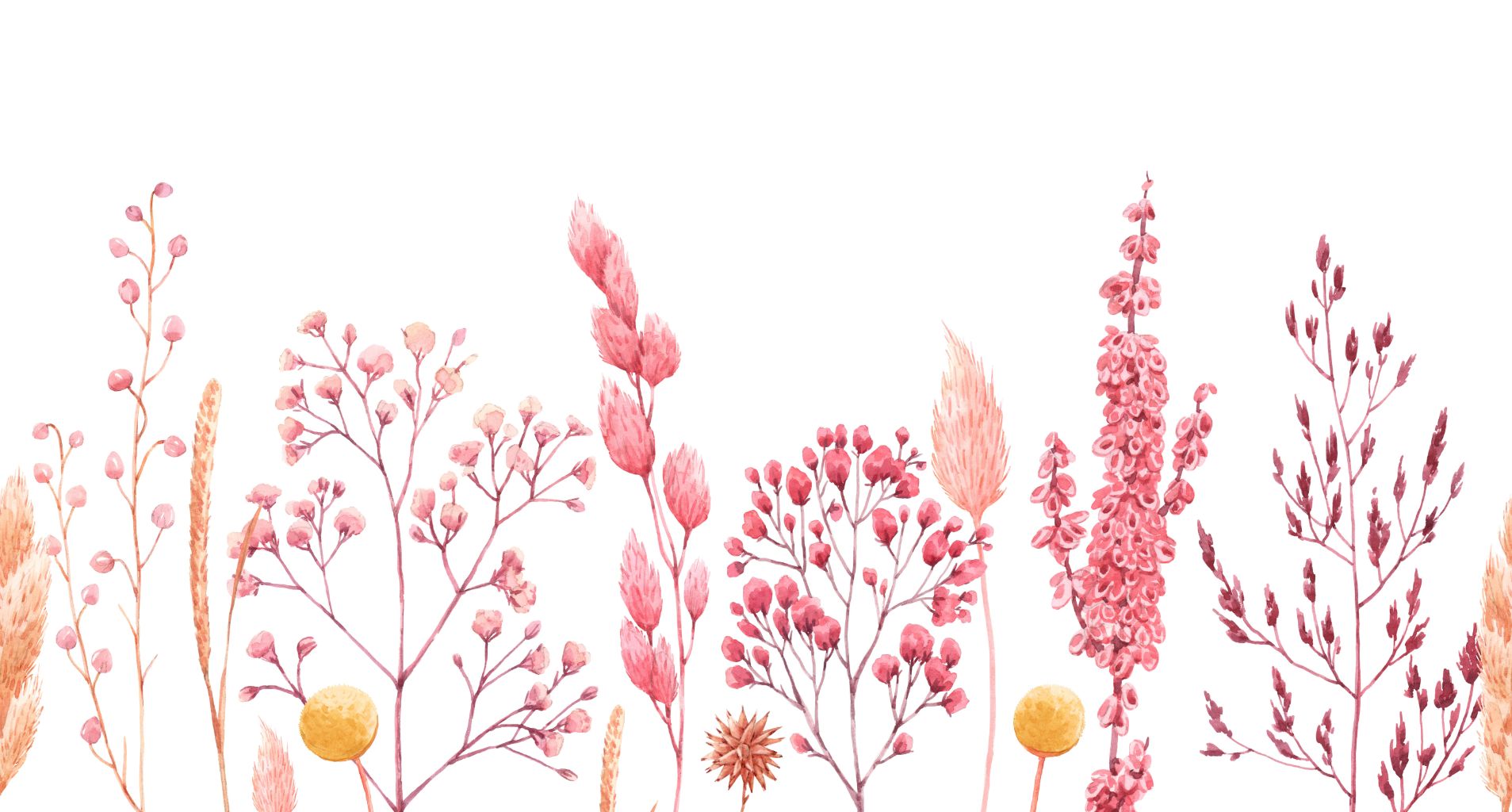 Watercolor Ears of Dried Flowers Wallpaper Murals