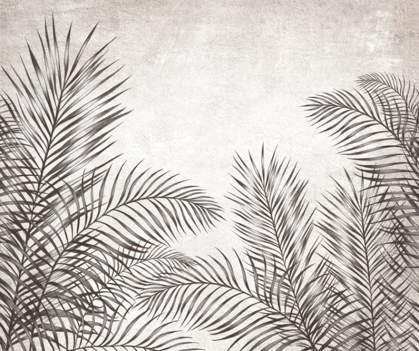 Monochrome Palm Leaves Wallpaper Murals