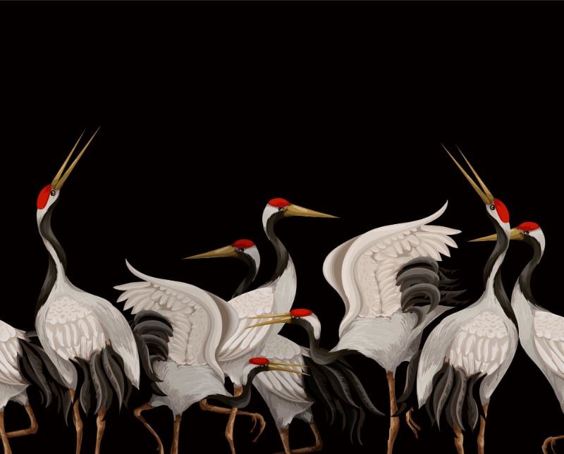 Japanese White Cranes Oriental Wallpaper Murals in your room