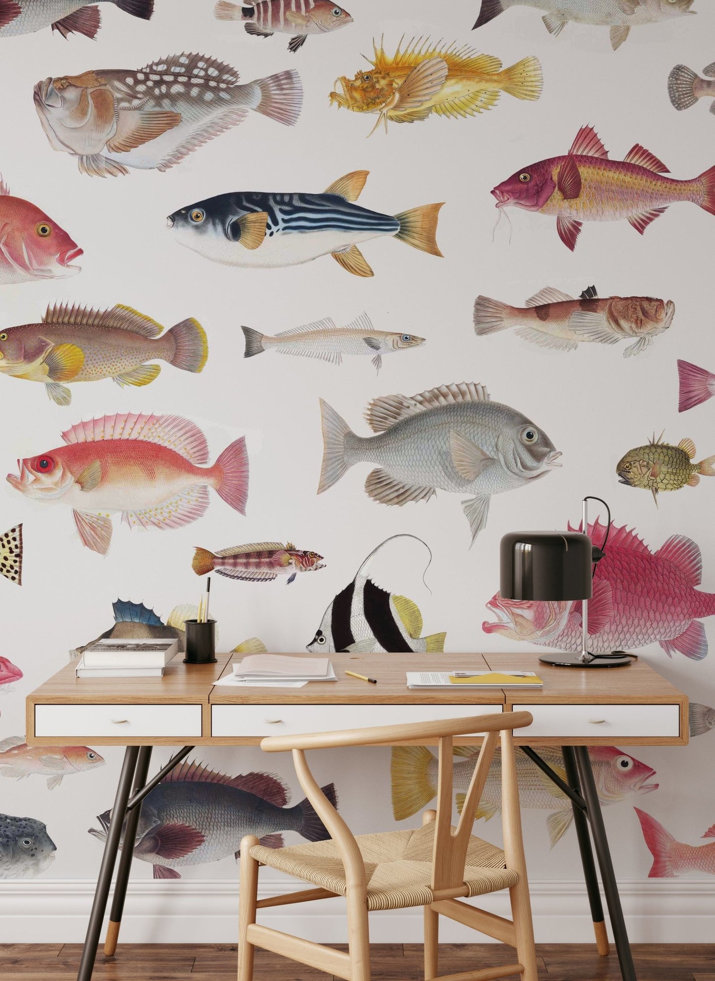 Acquarium Wallpaper⁠