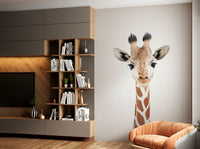 Baby Giraffe Wall Mural