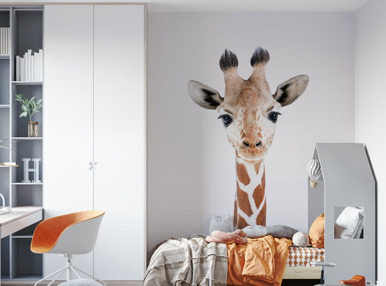 Baby Giraffe wallpaper mural on a kids room wall beside a white wardrobe, orange desk chair and bed
