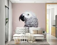 African Grey bird mural in botanical background

