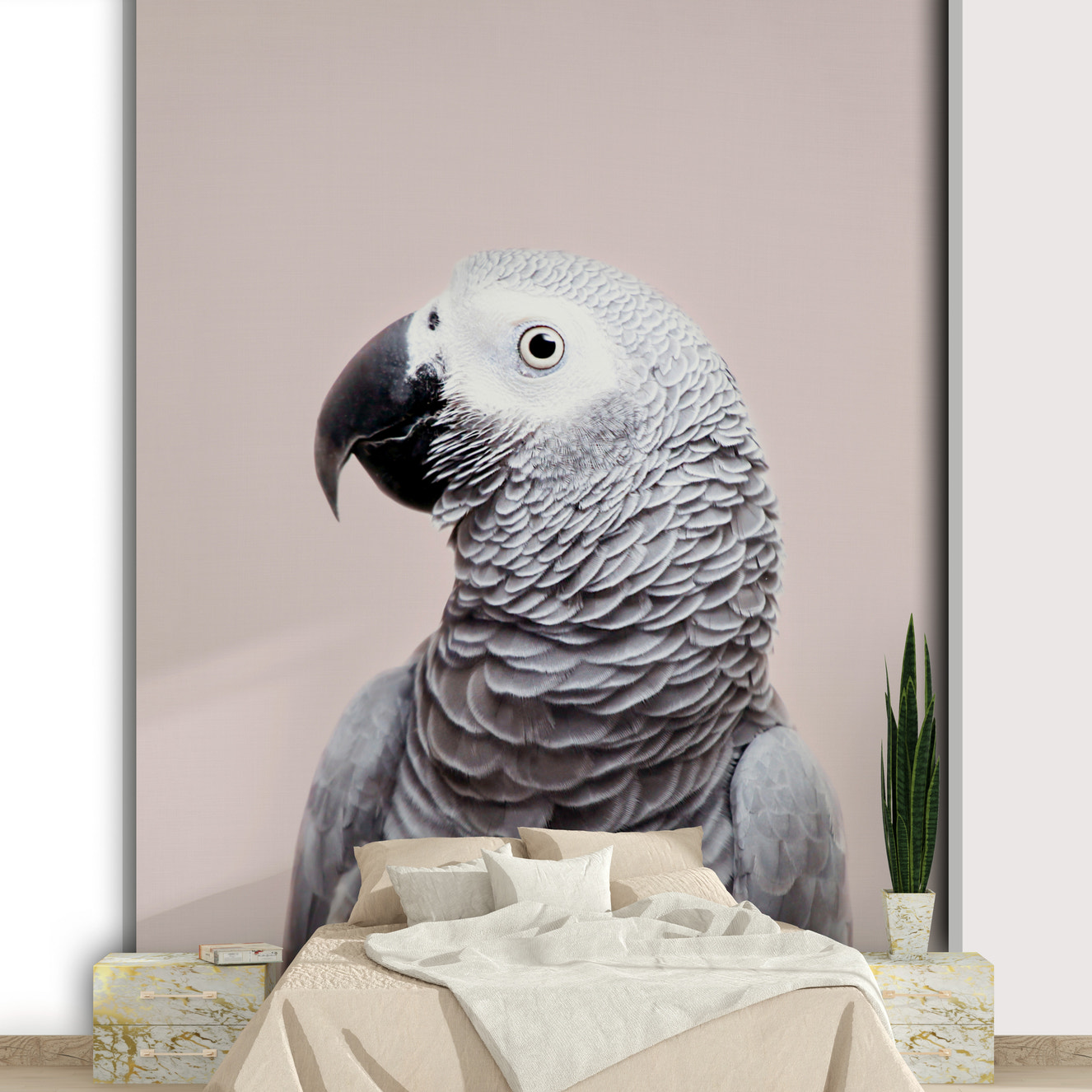 African Grey parrot wall mural in lifelike detail

