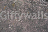 Aged Earth wallpaper mural close-up showing rough pinkish-grey weathered stone surface speckled with lichen