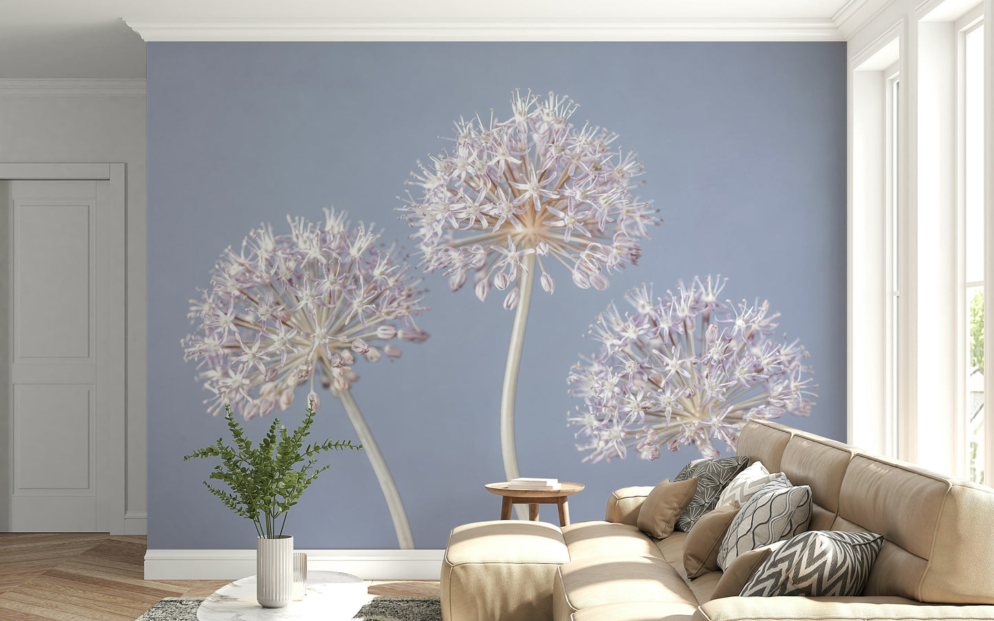Airy and modern photograph, Allium Triplet floral wall decor.